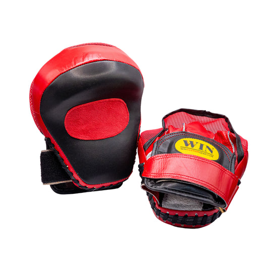 Sparring Mitts